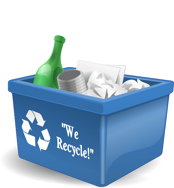 Single use Vs Reuseable: The truth about Sustainability
